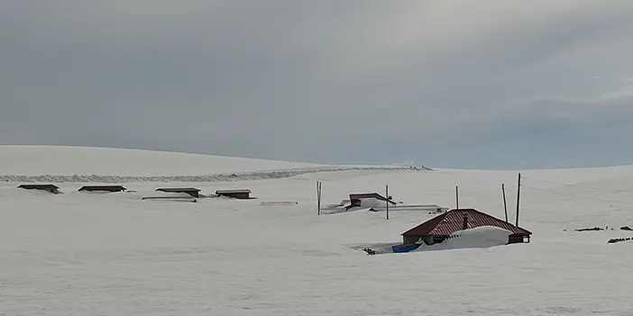 Ardahan'da yayla evleri kar altında kaldı